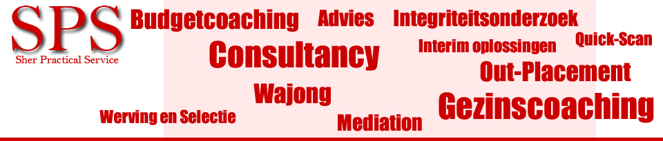 Werving en Selectie, Re-integratie, Wajong uitkering en Mediation
